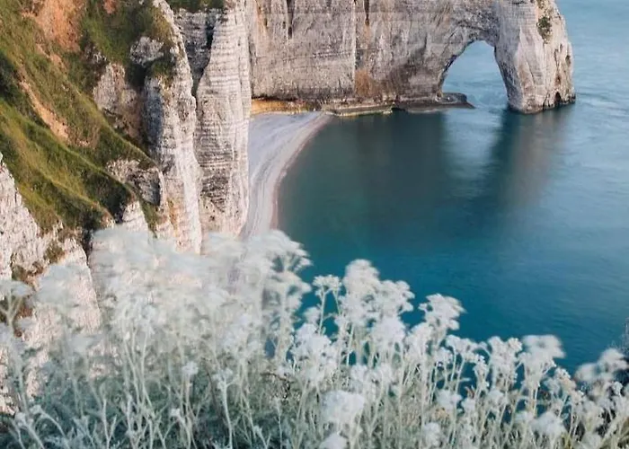 Magnifique A , Parking Inclus Apartment Etretat