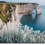 Magnifique A , Parking Inclus Appartement Étretat