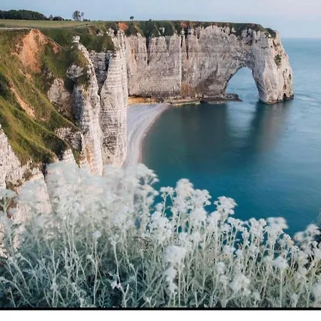 Magnifique A , Parking Inclus Apartman Étretat